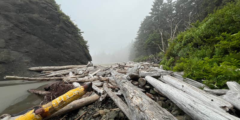 Camper submitted image from Second Beach — Olympic National Park