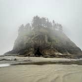 Review photo of Second Beach — Olympic National Park by Lyz F., June 18, 2026