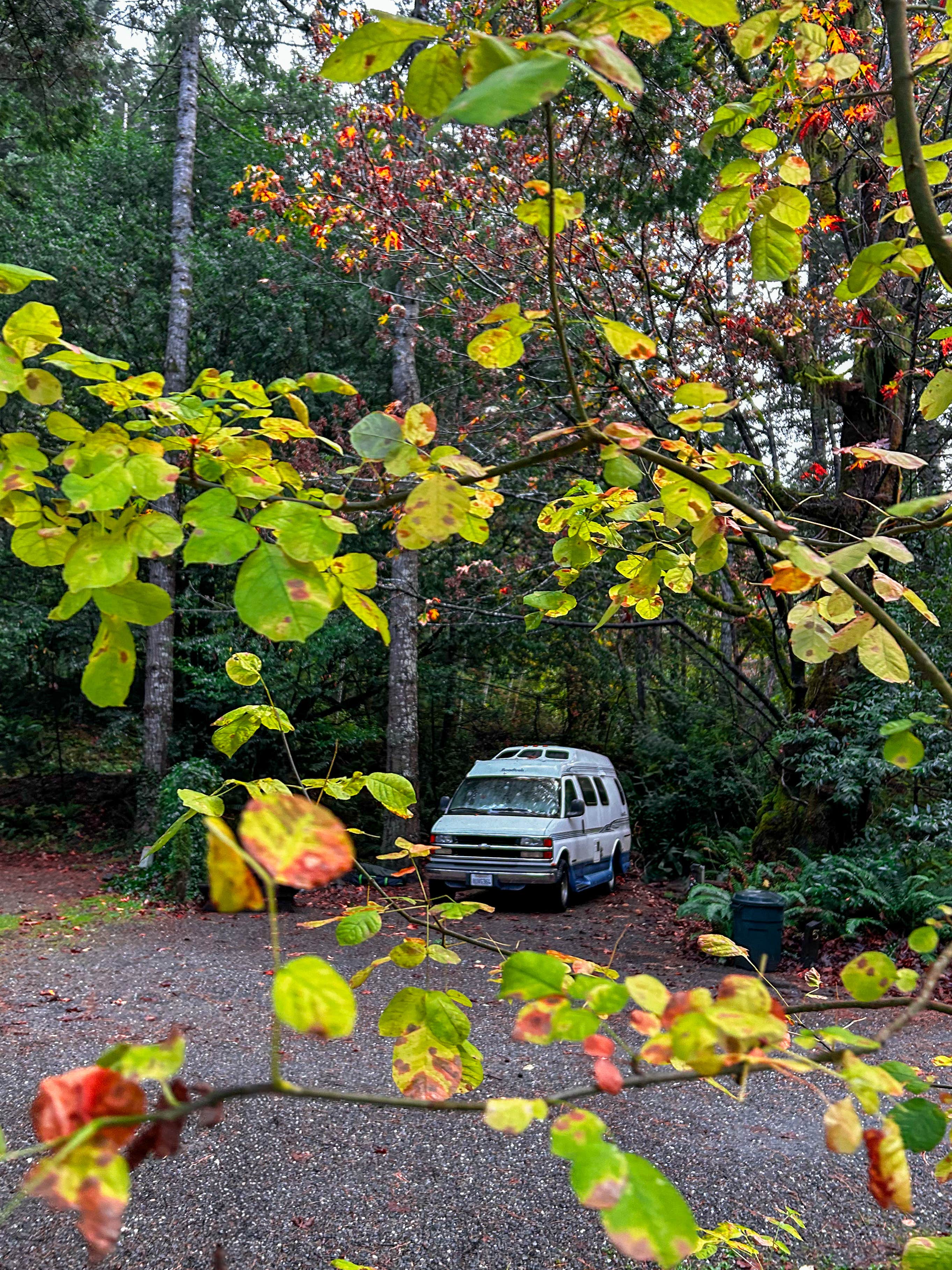 Camper-submitted photo at Secret Camp RV Park near Ophir, OR