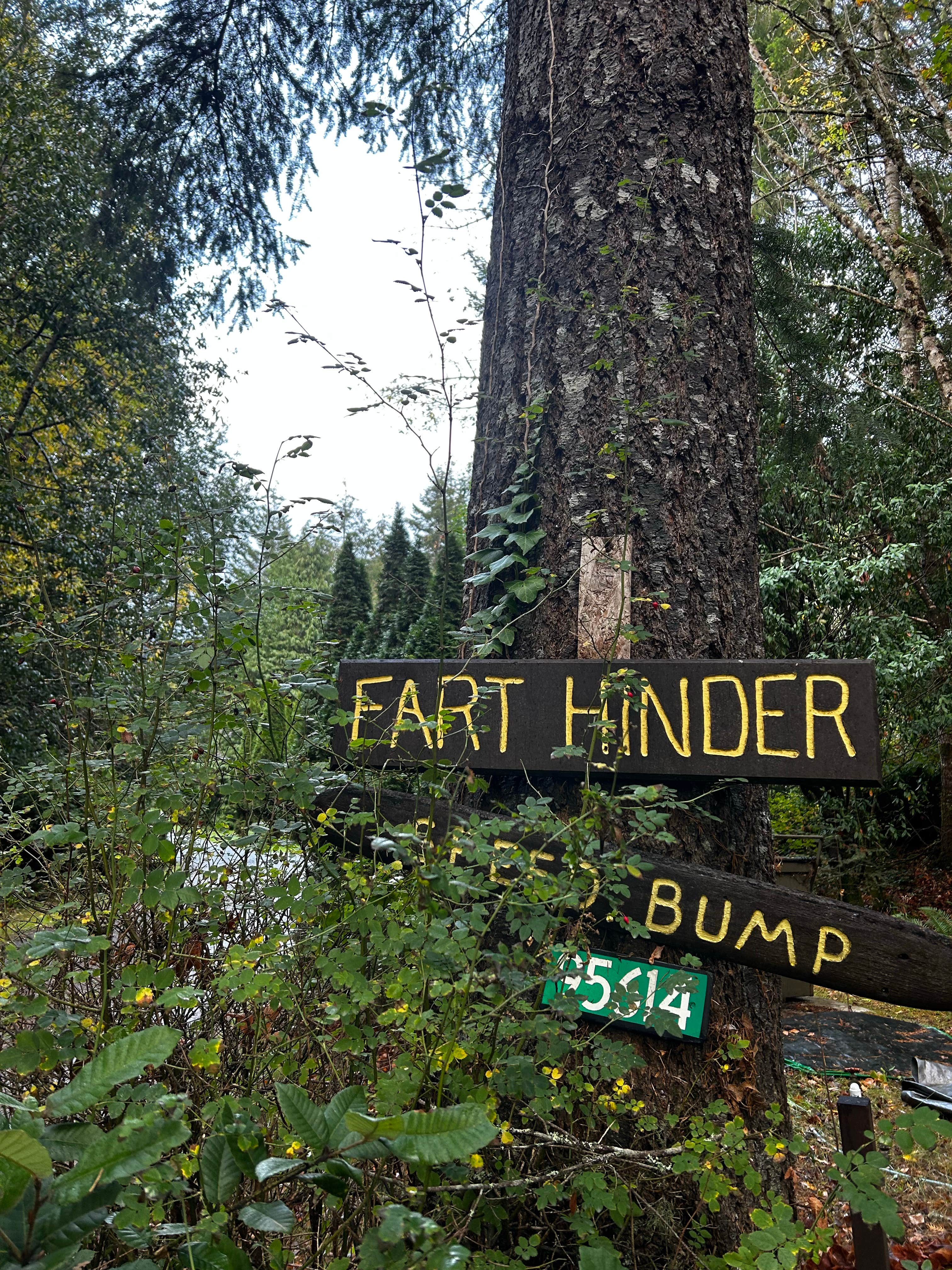 Camper-submitted photo at Secret Camp RV Park near Ophir, OR