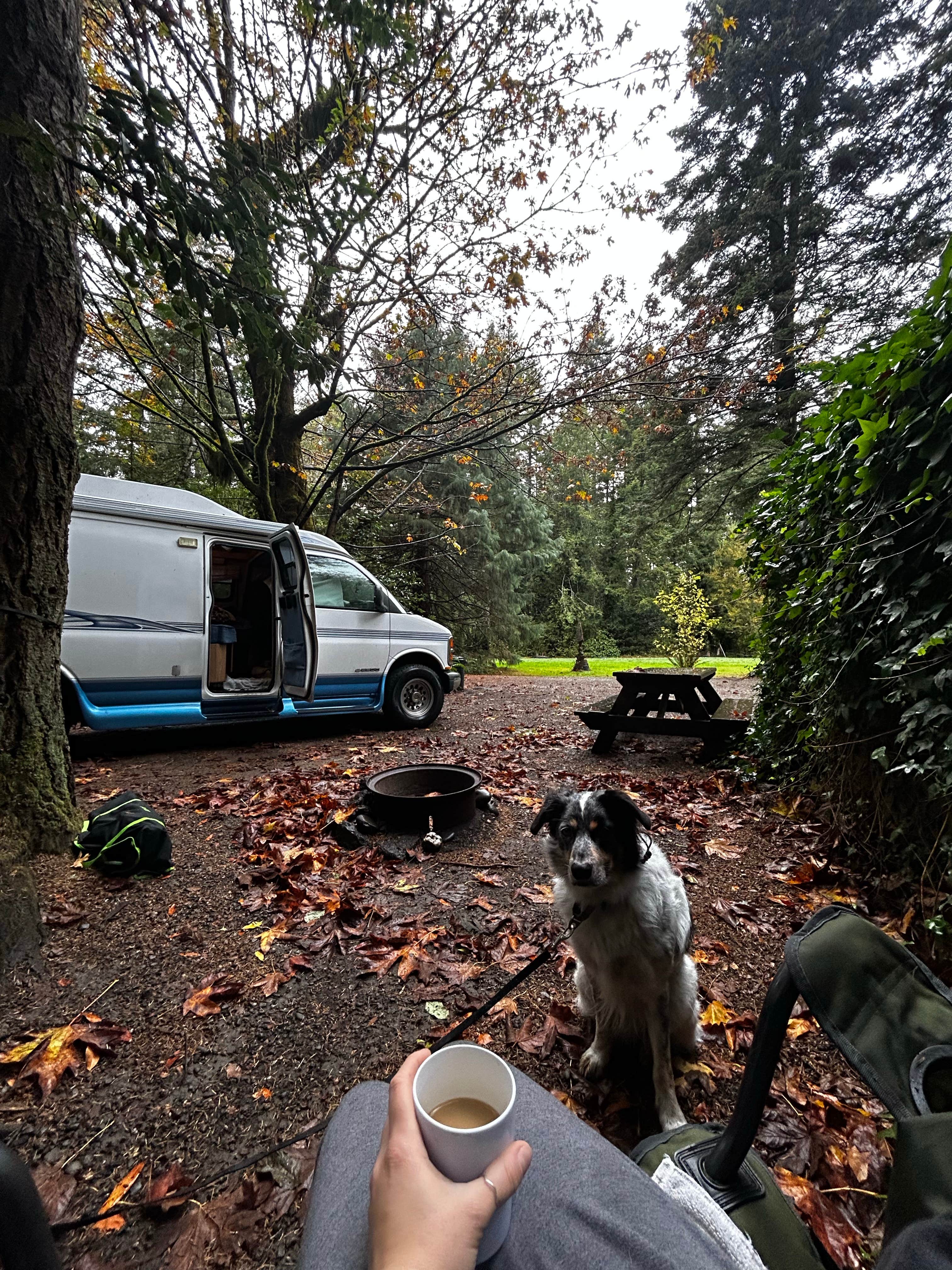 Camper-submitted photo at Secret Camp RV Park near Ophir, OR