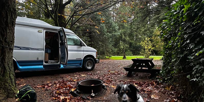 Camper submitted image from Secret Camp RV Park