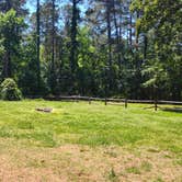 Review photo of Sedalia Campground (Sc) — Francis Marion And Sumter National Forests by Jane C., June 25, 2026