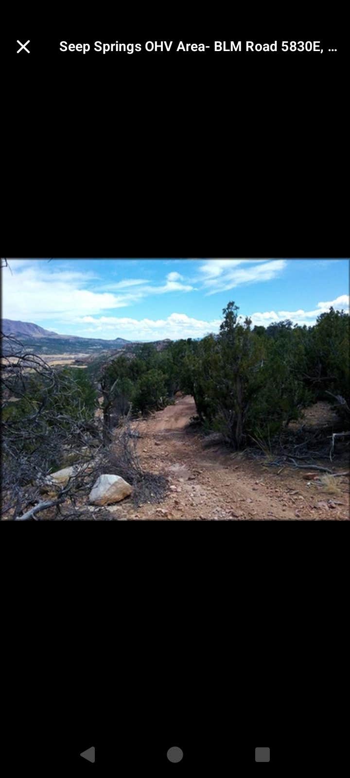 Chelsea's photo of a dispersed camping area at Seep Springs OHV Area near Florence, CO