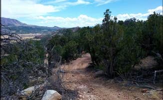 Chelsea's photo of a dispersed camping area at Seep Springs OHV Area near Westcliffe, CO