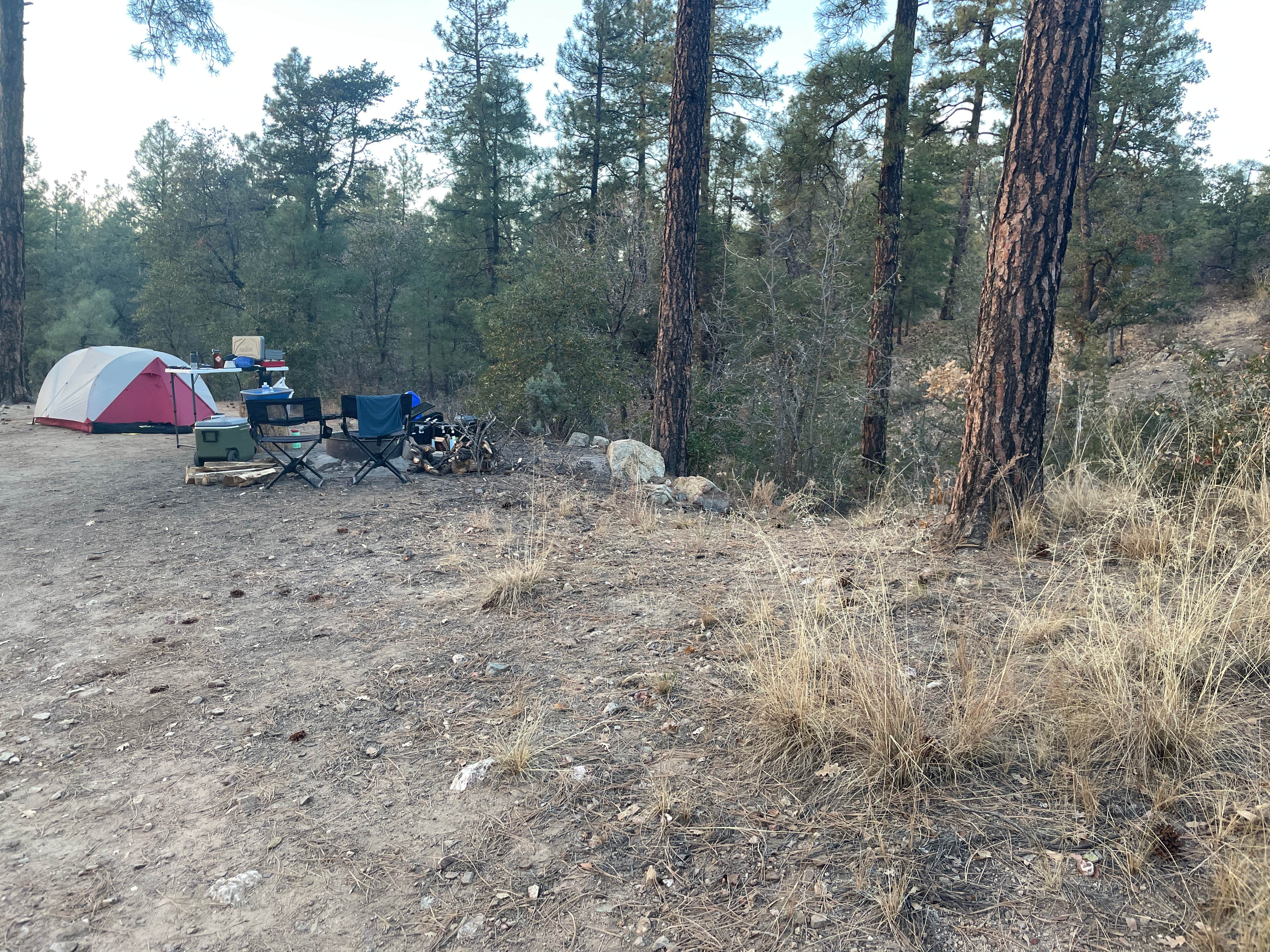 Glyn P.'s photo at Senator Hwy Dispersed Camp Site near Mayer, AZ