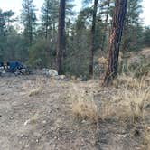 Review photo of Senator Hwy Dispersed Camp Site by Glyn P., December 4, 2024