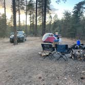 Review photo of Senator Hwy Dispersed Camp Site by Glyn P., December 4, 2024