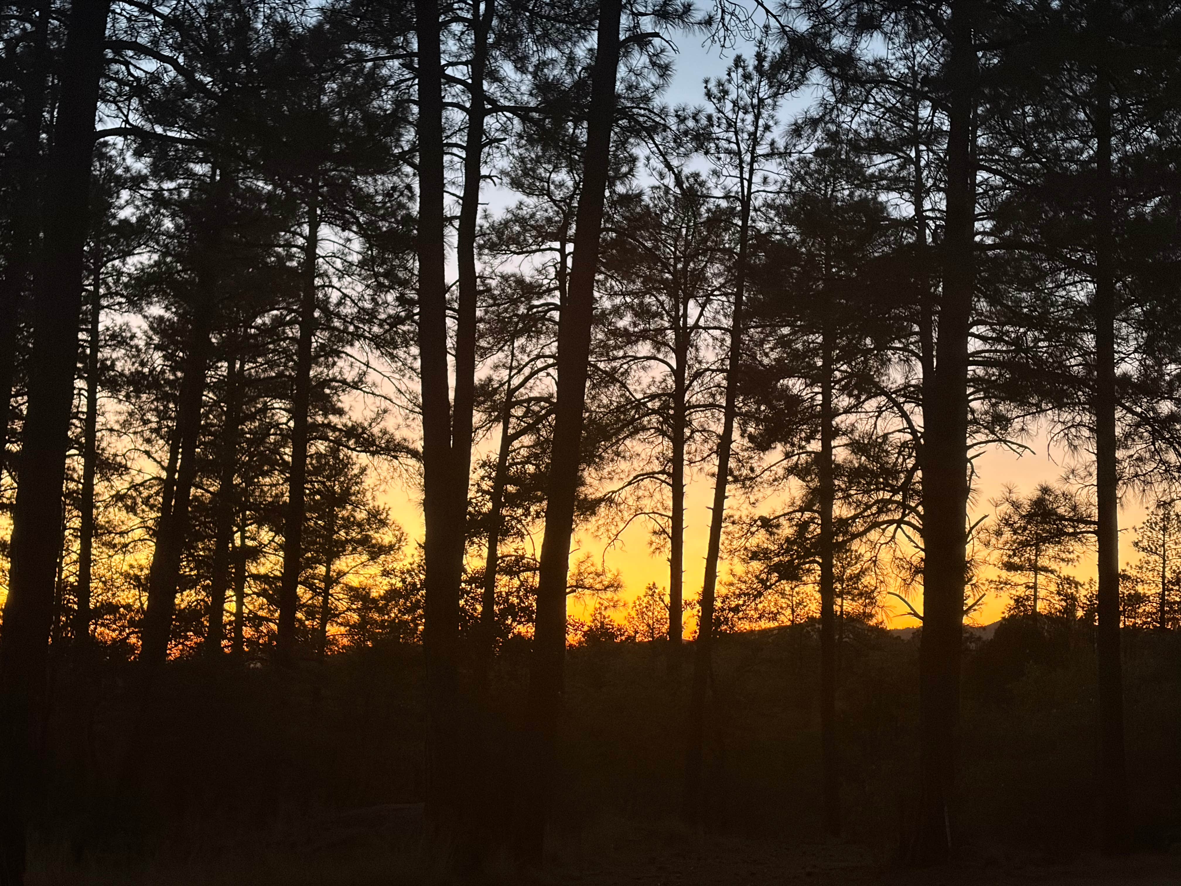 alexis E.'s photo of a dispersed camping area at Senetor Highway Dispersed spot 5 near Mayer, AZ