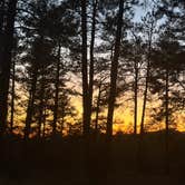 Review photo of Senetor Highway Dispersed spot 5 by alexis E., March 9, 2026