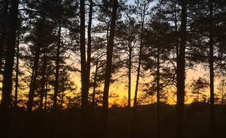 alexis E.'s photo of a dispersed camping area at Senetor Highway Dispersed spot 5 near Crown King, AZ