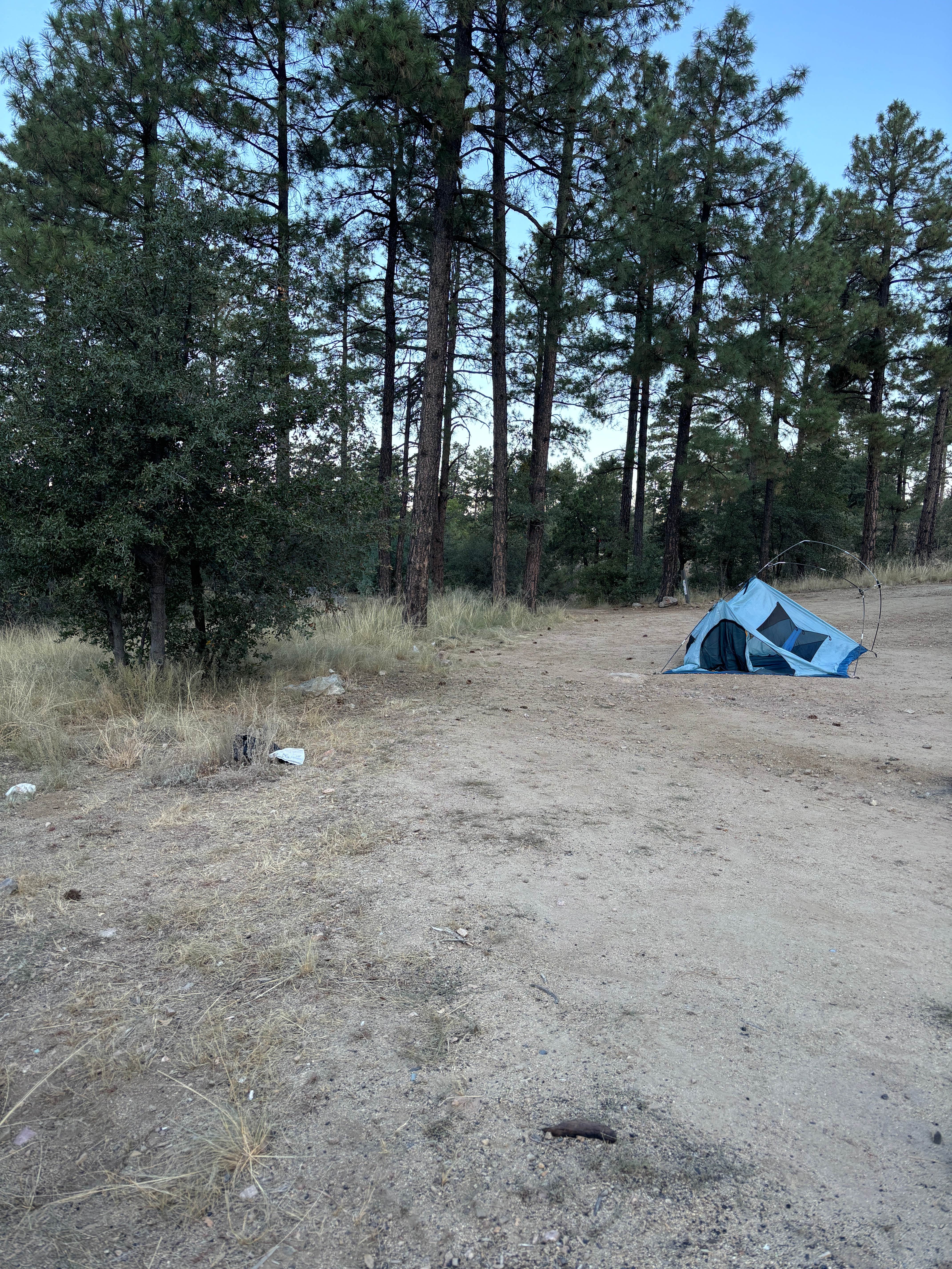 Camper submitted image from Senetor Highway Dispersed spot 5 - 1