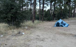 Kerri W.'s photo at Senetor Highway Dispersed spot 5 near Mayer, AZ