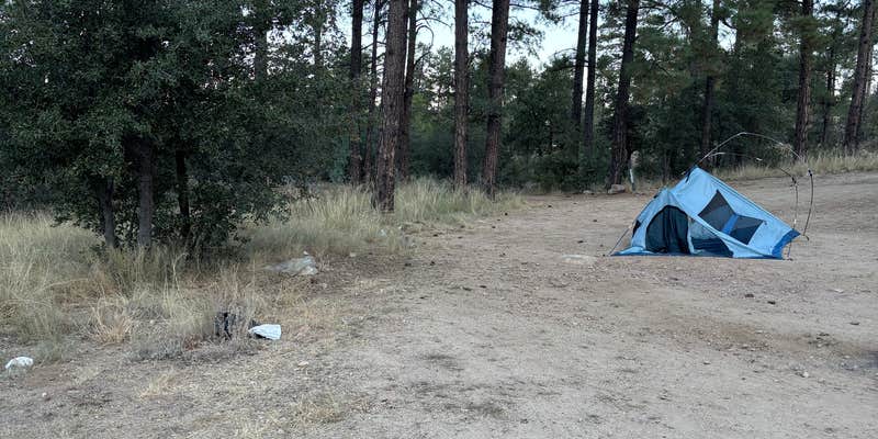 Camper submitted image from Senetor Highway Dispersed spot 5