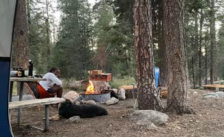 Erin G.'s photo of camping with pets at Sequoia and Kings Canyon National Park Lodgepole Campground near Sequoia & Kings Canyon National Parks