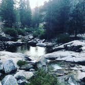 Review photo of Sequoia and Kings Canyon National Park Lodgepole Campground by Erin G., March 16, 2026
