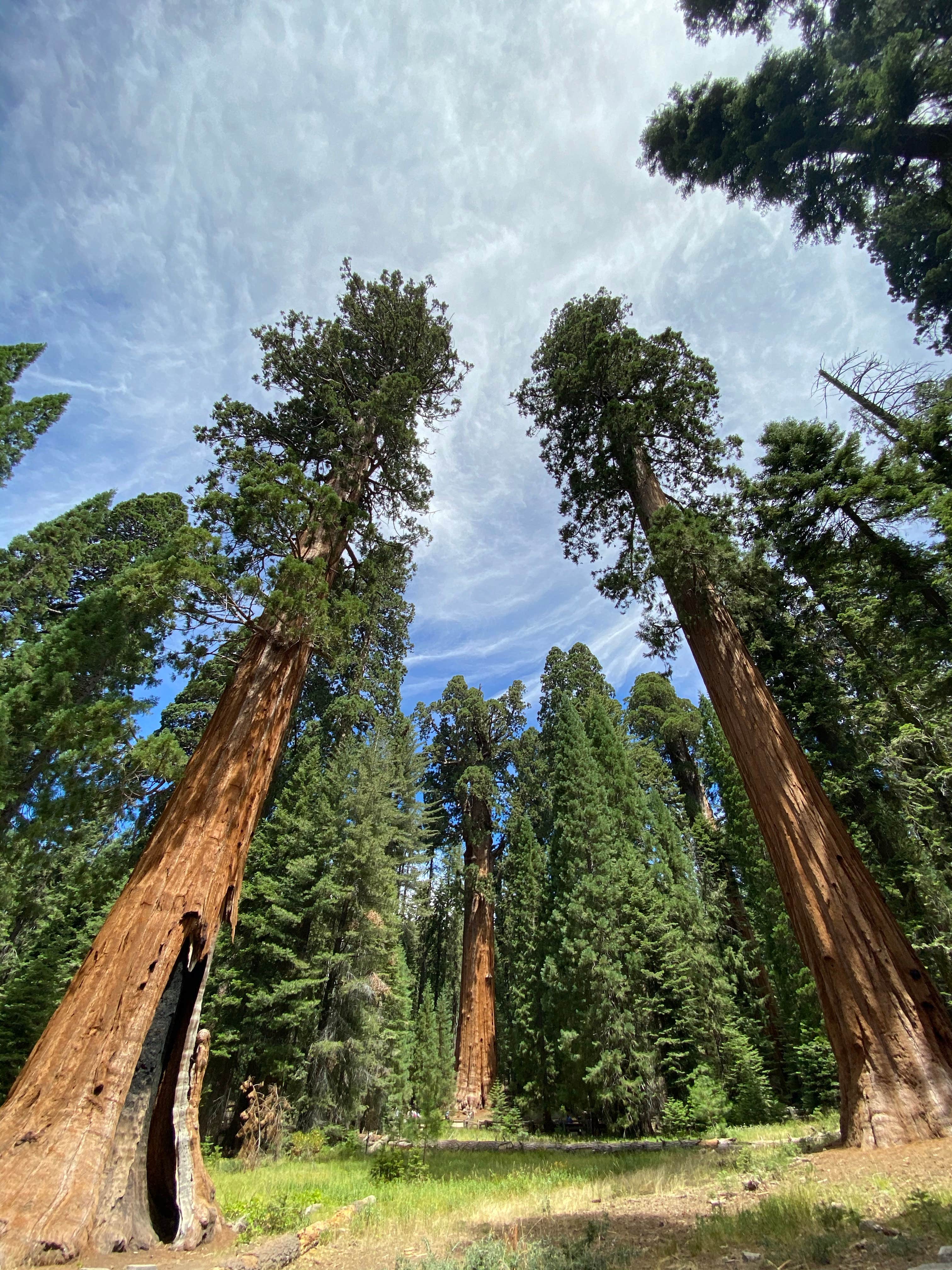 Camper-submitted photo at Sequoia and Kings Canyon National Park Lodgepole Campground near Three Rivers, CA