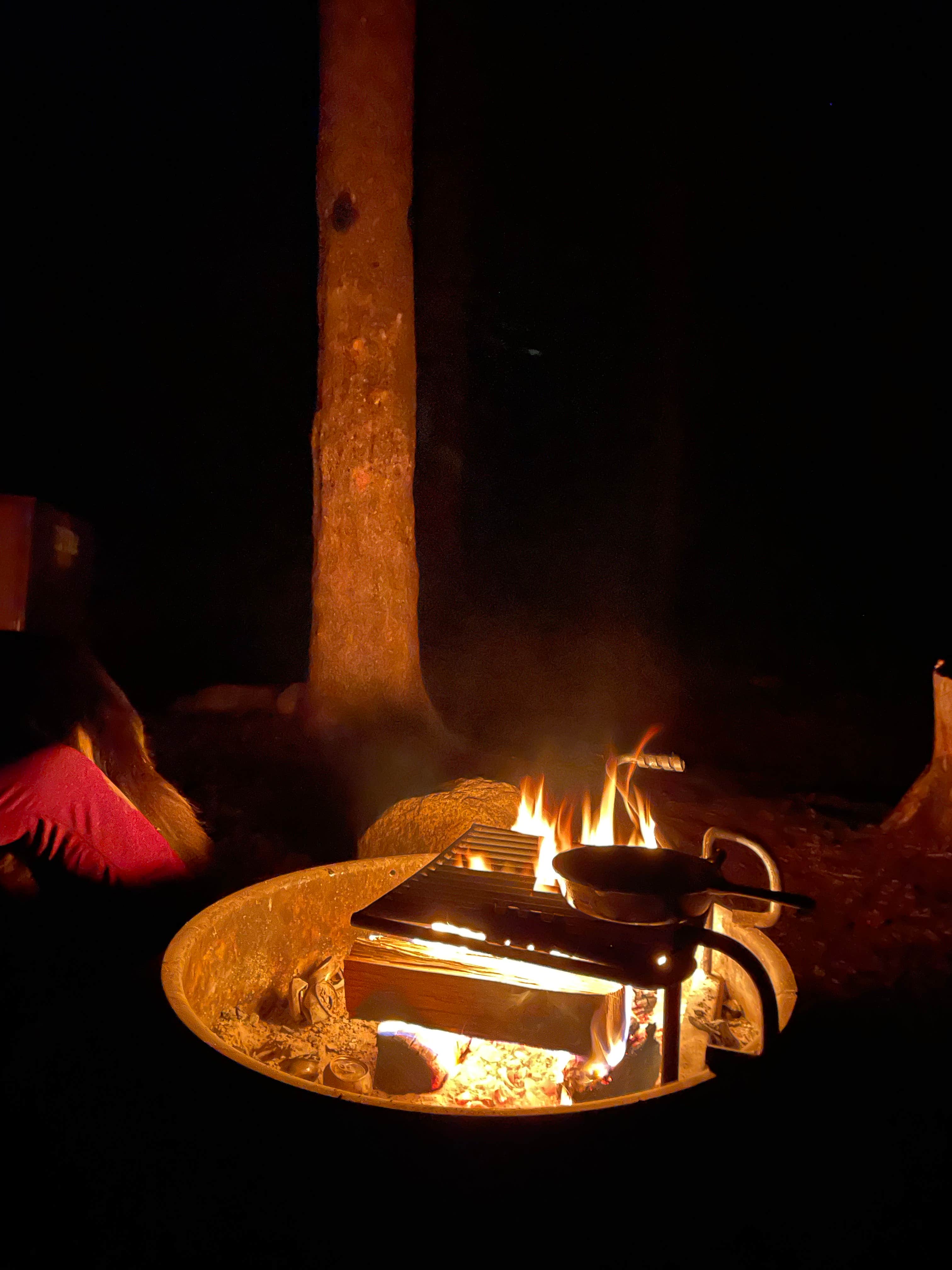 Sequoia and Kings Canyon National Park Lodgepole Campground
