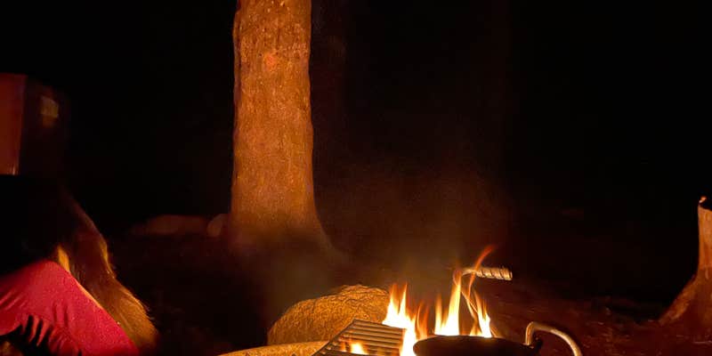 Camper submitted image from Sequoia and Kings Canyon National Park Lodgepole Campground