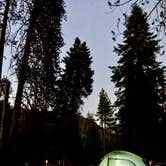 Review photo of Sequoia and Kings Canyon National Park Lodgepole Campground by Erin G., March 16, 2026