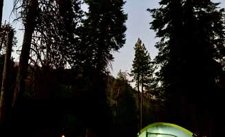 Erin G.'s photo at Sequoia and Kings Canyon National Park Lodgepole Campground near Sequoia & Kings Canyon National Parks