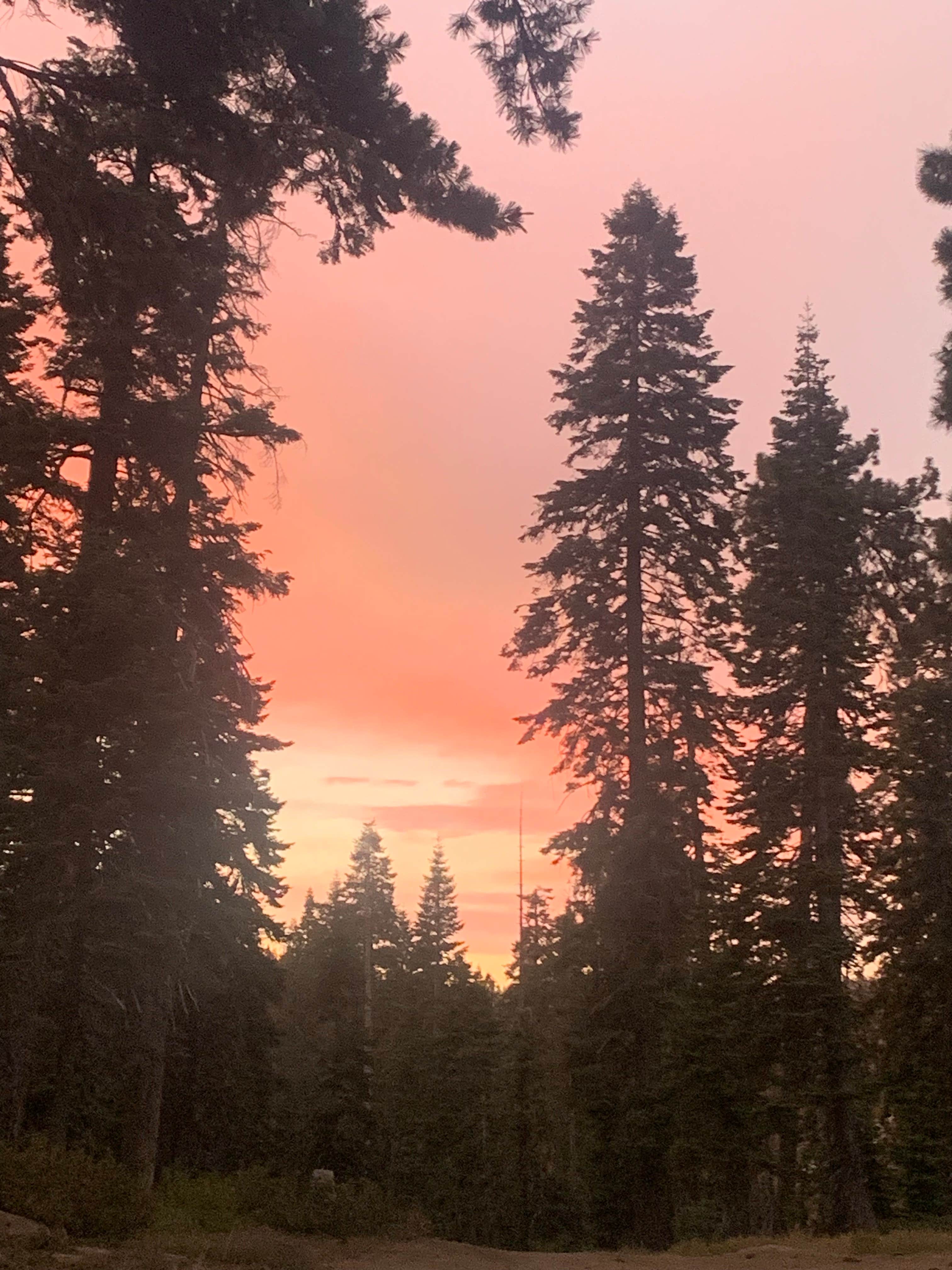 Helen F.'s photo of a dispersed camping area at Sequoia Boondock near Alabama Hills, CA