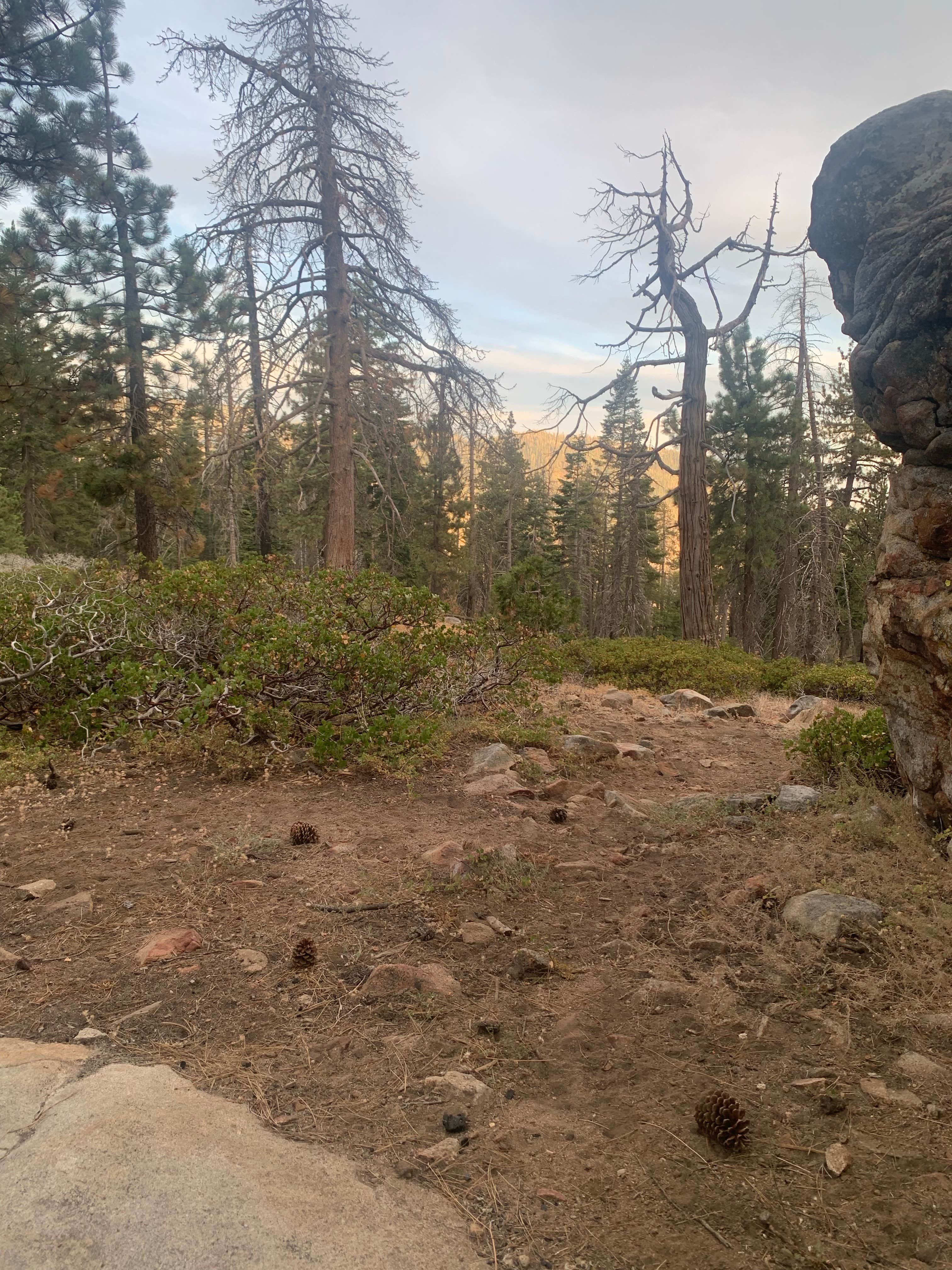 Camper submitted image from Sequoia Boondock - 2