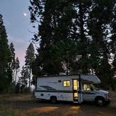 Review photo of Sequoia Forest Hunting Area - FS 13597 by renee P., July 15, 2024