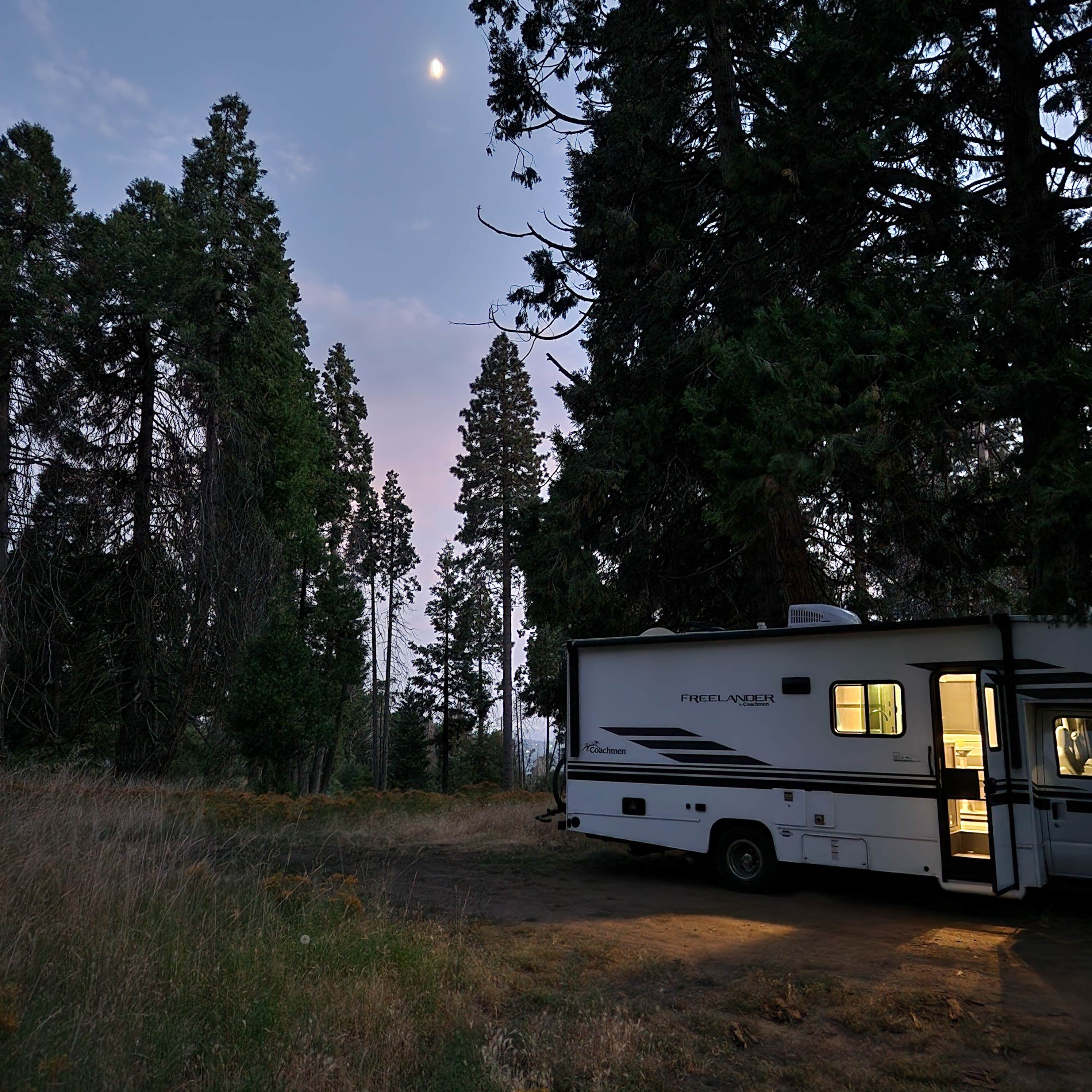 Camper submitted image from Sequoia Forest Hunting Area - FS 13597 - 1