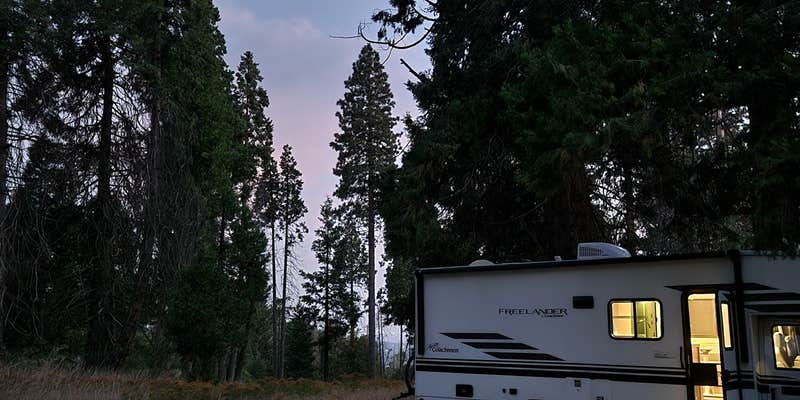 Camper submitted image from Sequoia Forest Hunting Area - FS 13597