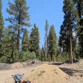 Review photo of Sequoia National Forest 13S08 Site by David G., June 2, 2025