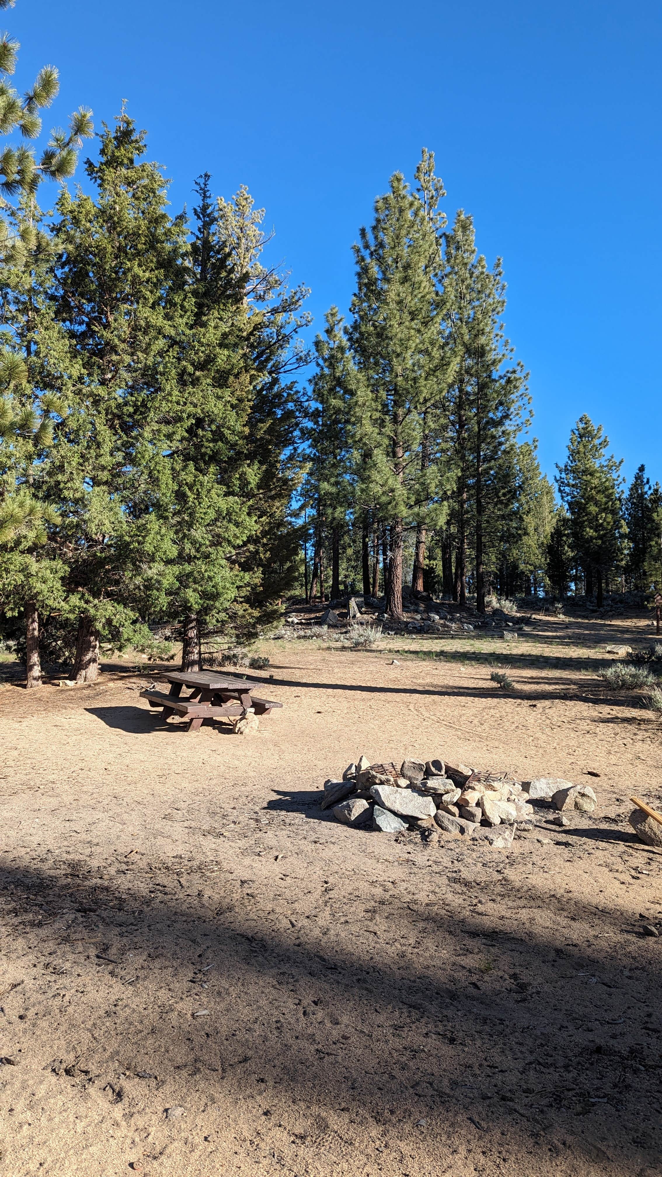 Camper-submitted photo at Sequoia National Forest Fish Creek Campground near Little Lake, CA