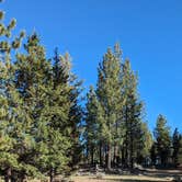 Review photo of Sequoia National Forest Fish Creek Campground by Nicholas G., June 13, 2024