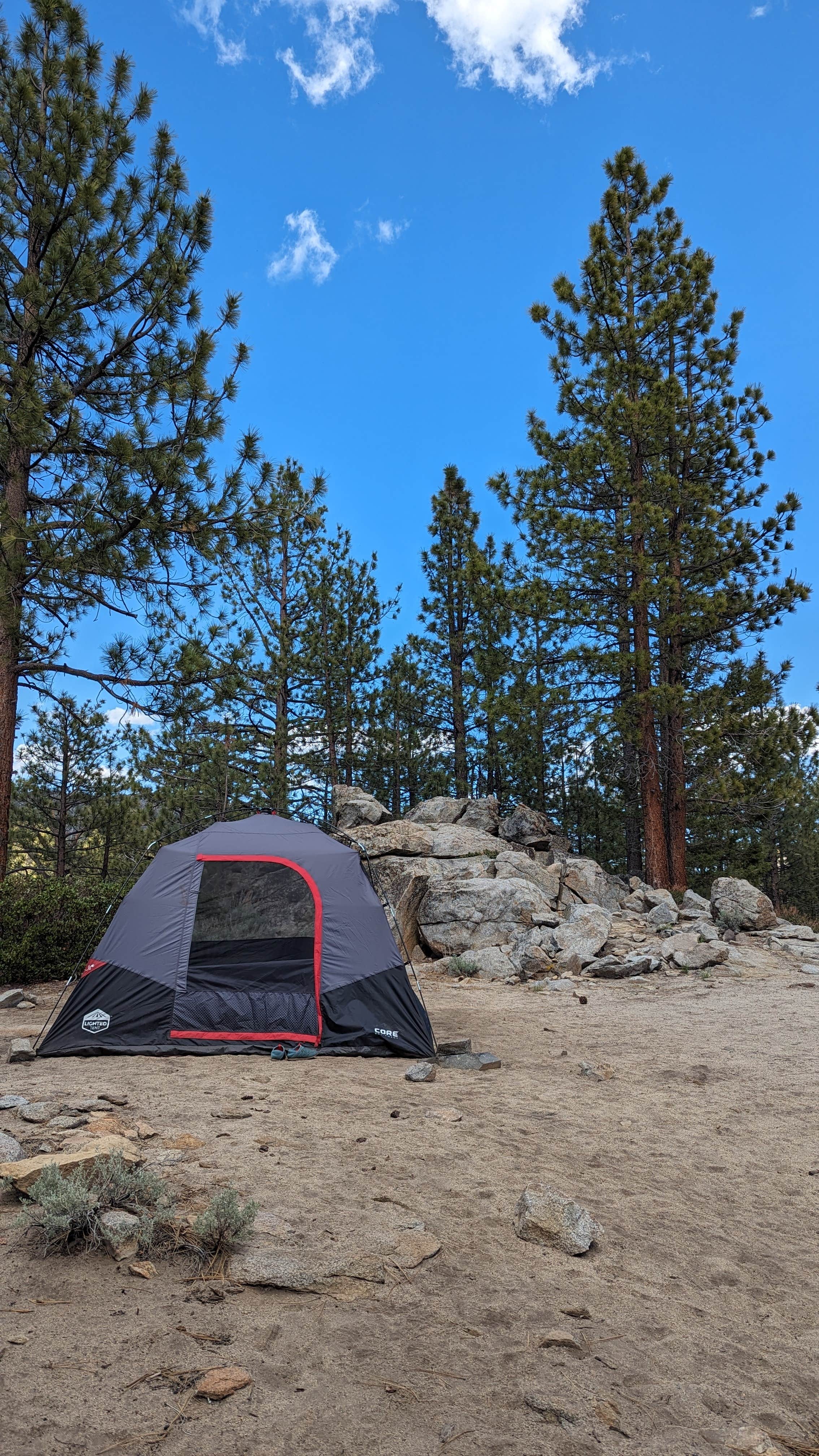 Camper submitted image from Sequoia National Forest Fish Creek Campground - 4