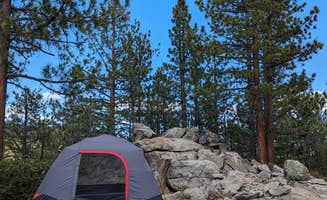 Nicholas G.'s photo at Sequoia National Forest Fish Creek Campground near Little Lake, CA