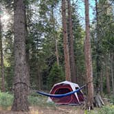 Review photo of Sequoia National Forest Princess Campground by Andre V., January 22, 2026