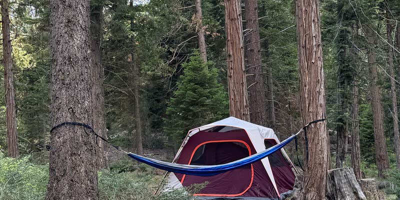Camper submitted image from Sequoia National Forest Princess Campground