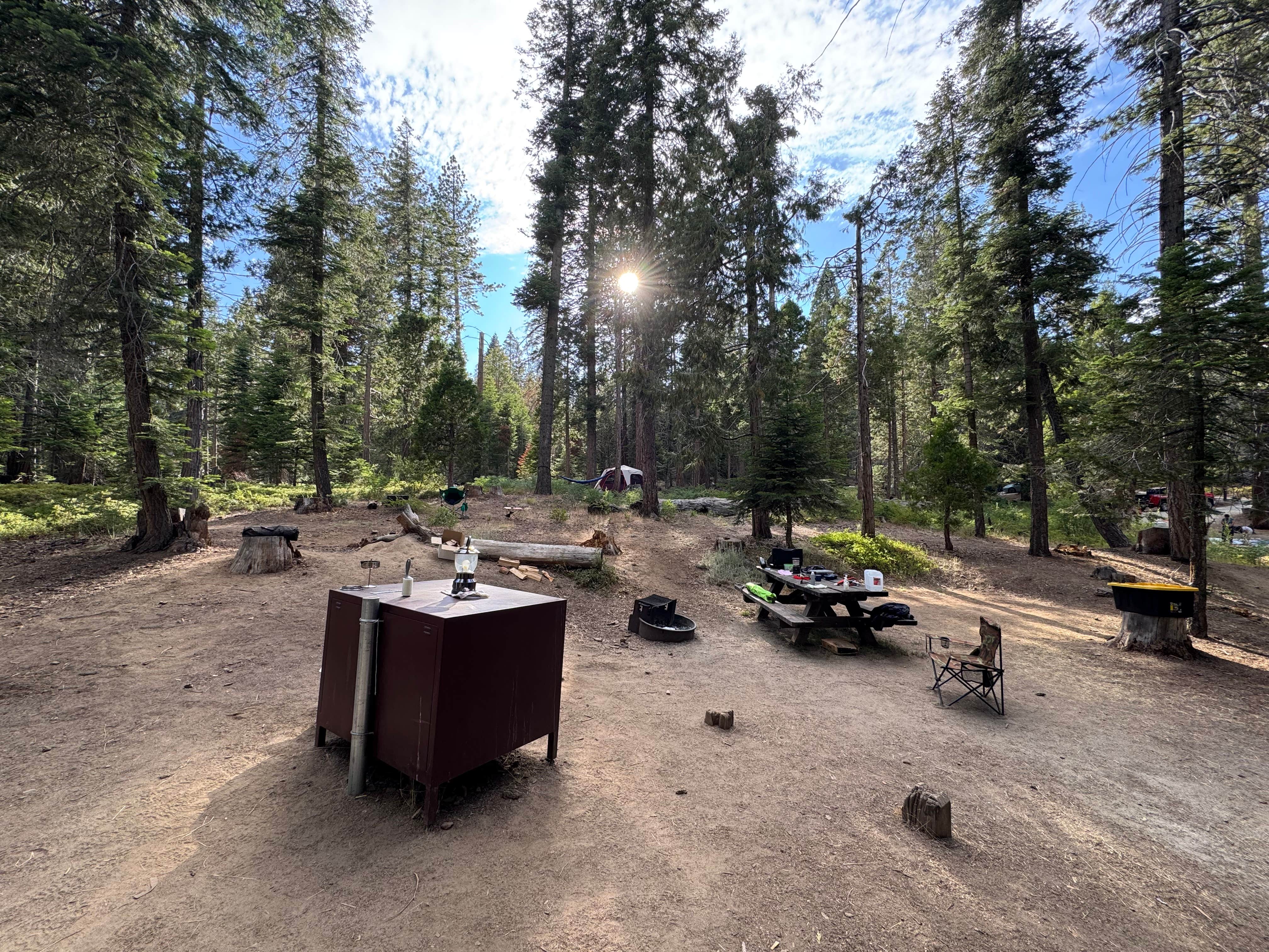 Camper submitted image from Sequoia National Forest Princess Campground - 4