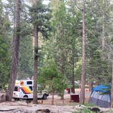 Review photo of Sequoia National Forest Princess Campground by Marieke S., June 22, 2025
