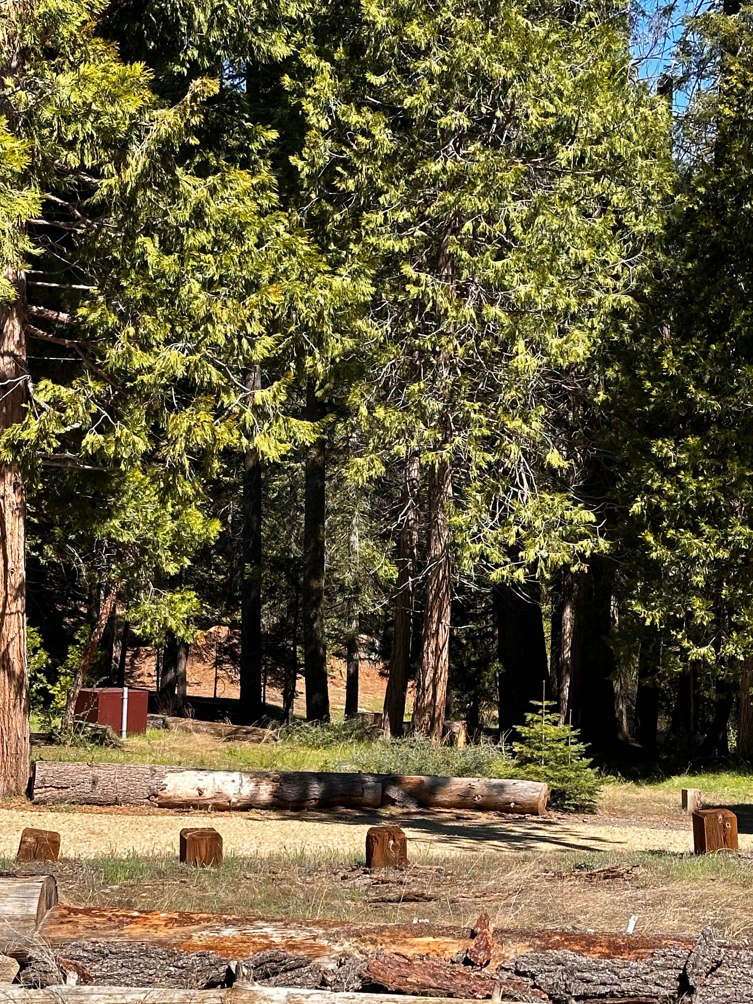 Camper-submitted photo at Tenmile Campground near Sequoia & Kings Canyon National Parks