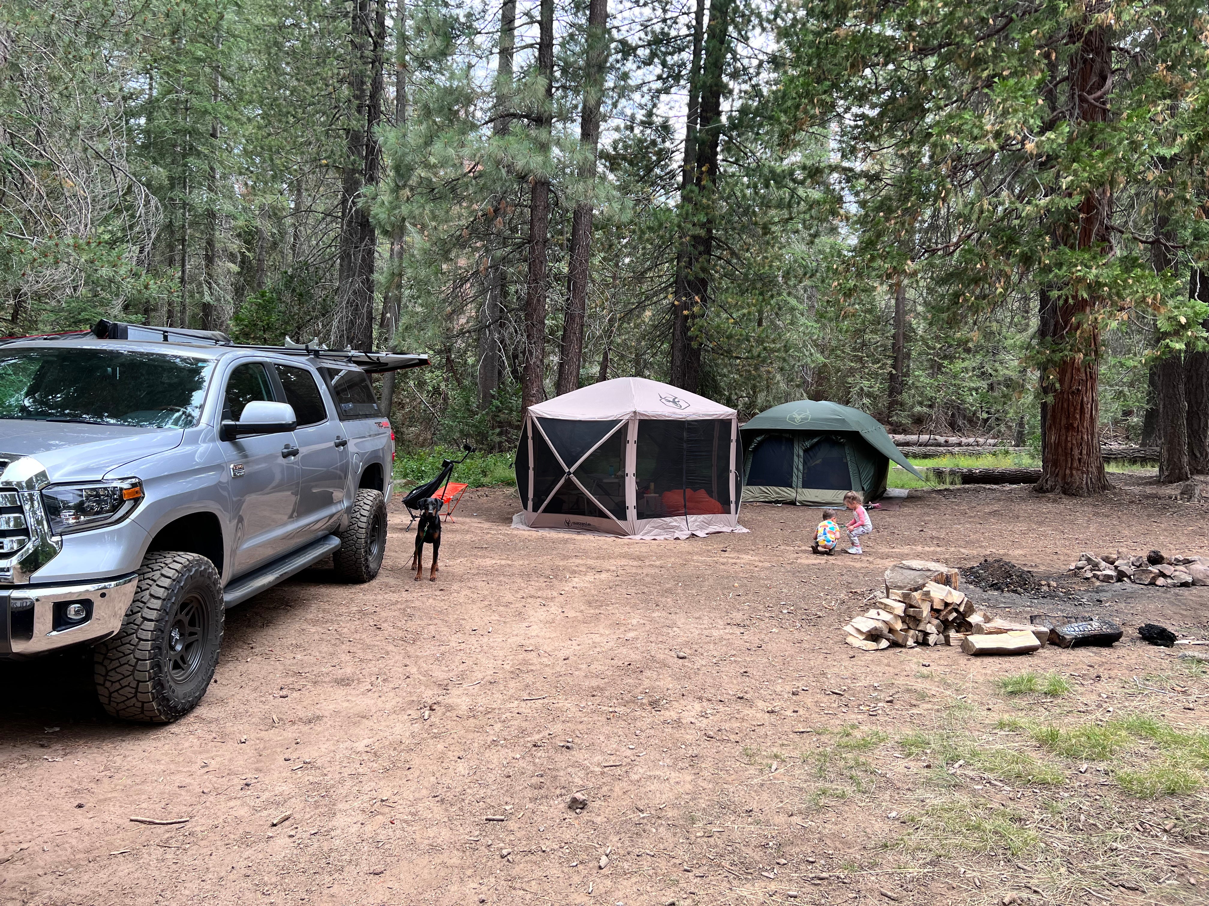 Camper submitted image from Sequoia National Forest Upper Peppermint Dispersed Area - 5