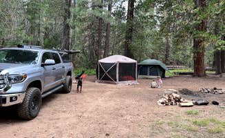Robert S.'s photo at Sequoia National Forest Upper Peppermint Dispersed Area near Sequoia National Forest