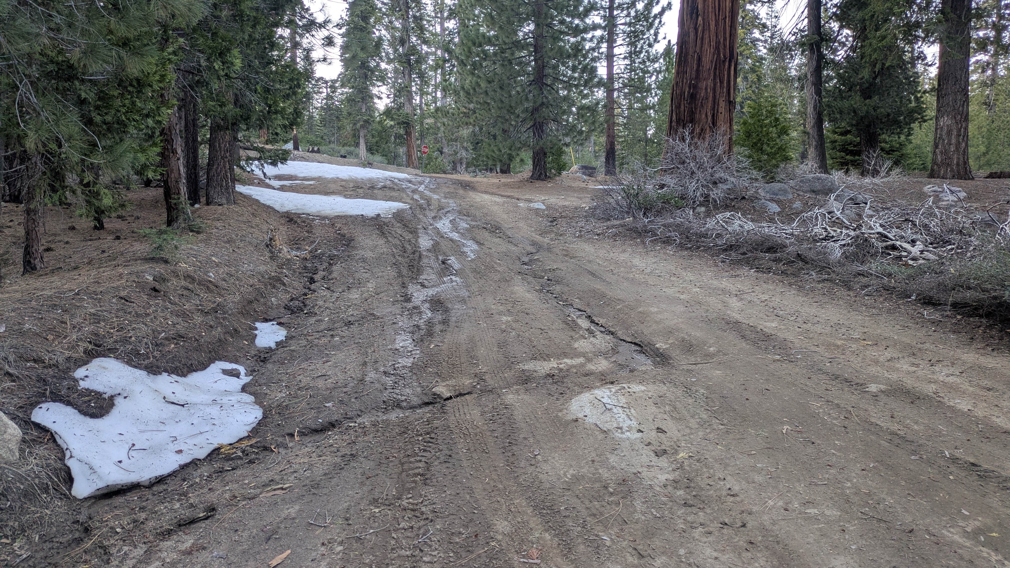 Camper-submitted photo at Sequoia National Forest Upper Peppermint Dispersed Area near Pixley, CA