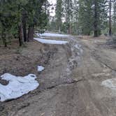 Review photo of Sequoia National Forest Upper Peppermint Dispersed Area by Vidalia S., March 21, 2026