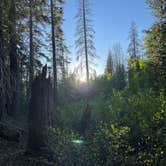 Review photo of Sequoia National Forest Upper Peppermint Dispersed Area by Robert  S., April 11, 2024