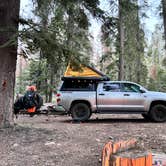 Review photo of Sequoia National Forest Upper Peppermint Dispersed Area by Robert  S., April 11, 2024