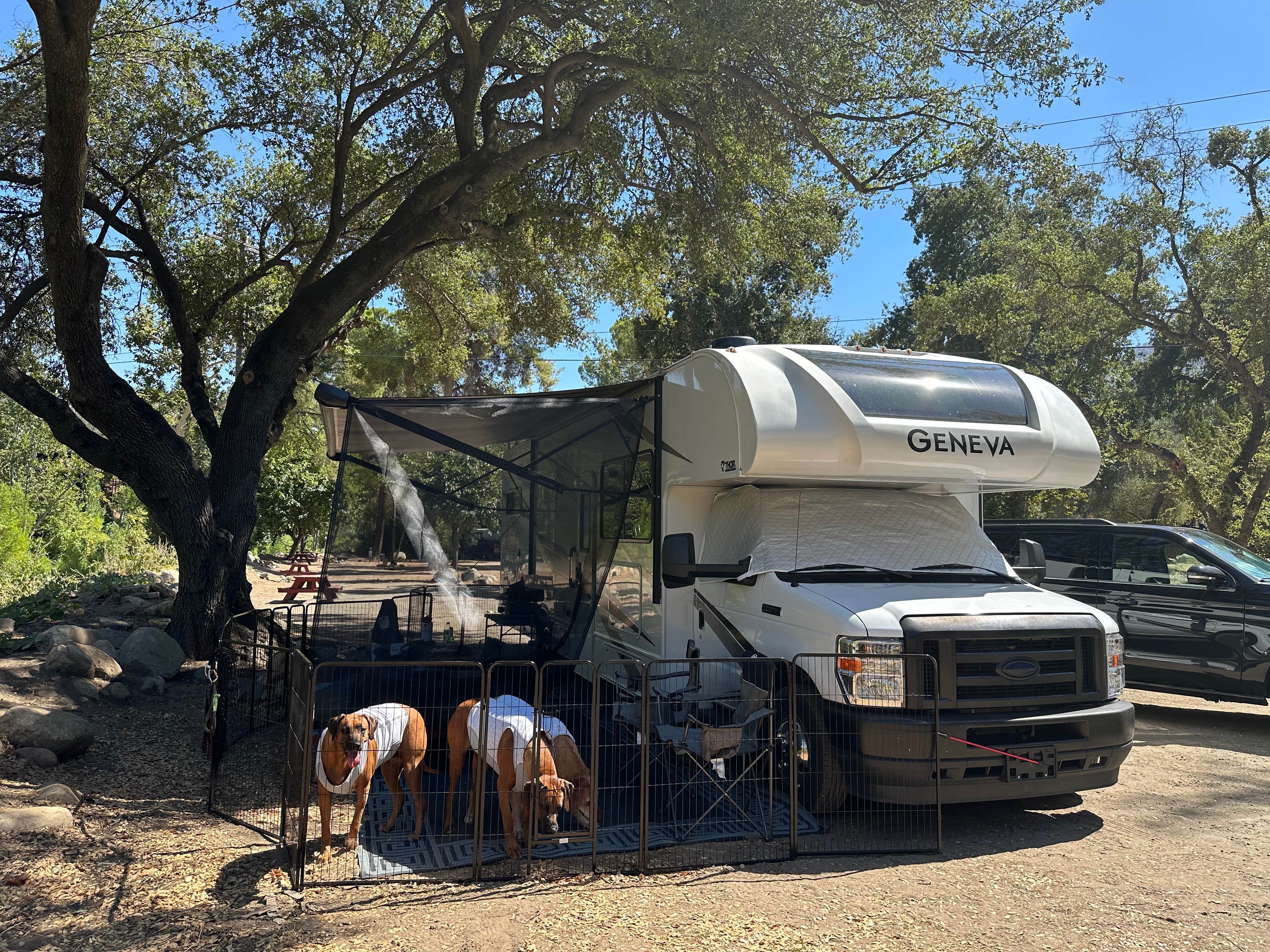 Annika C.'s photo of camping with pets at Sequoia RV Ranch near Goshen, CA