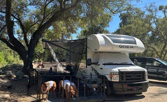 Annika C.'s photo of camping with pets at Sequoia RV Ranch near Sequoia and Kings Canyon National Parks