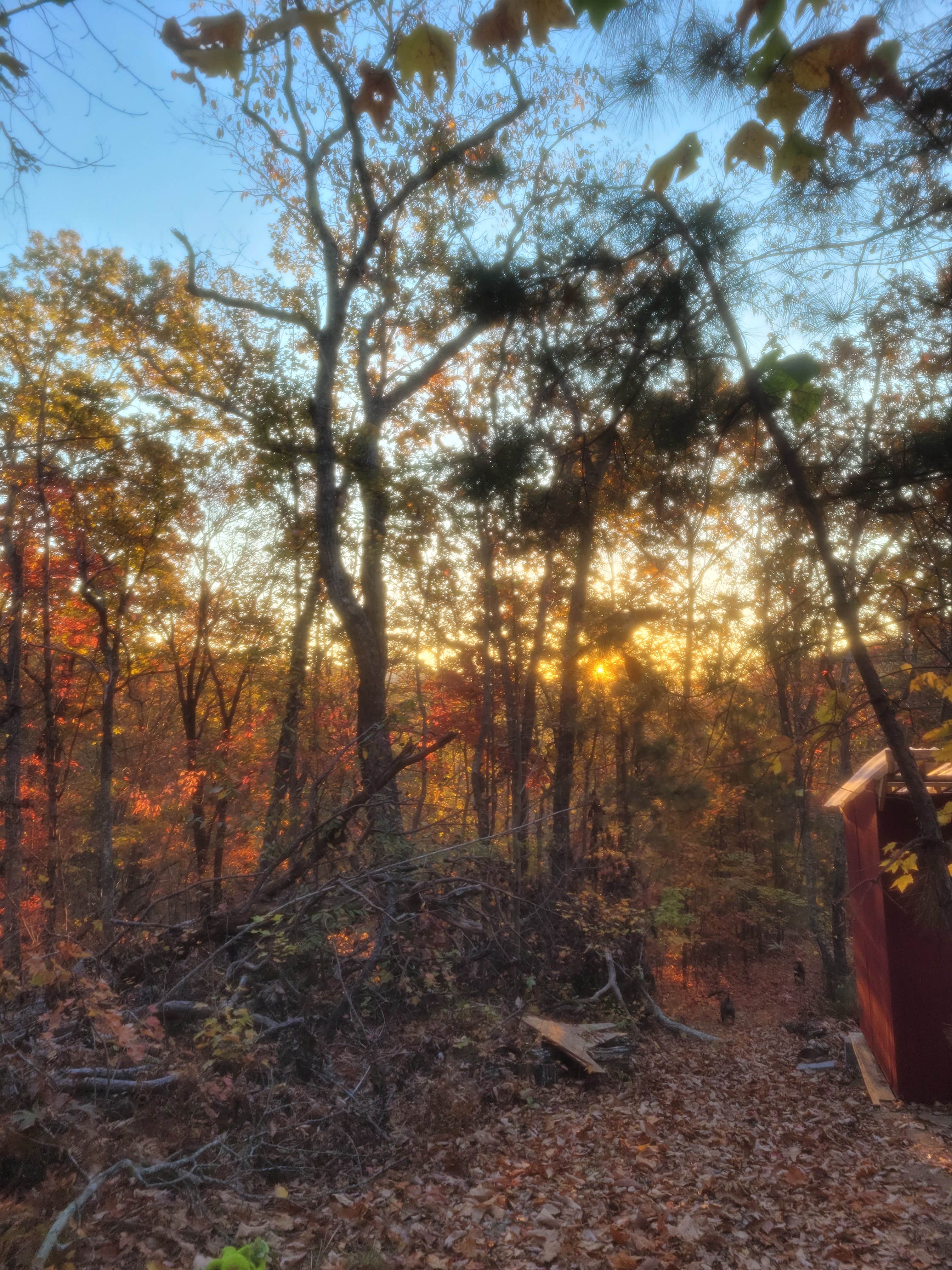 Camper-submitted photo at Serenity Ridge near Holly Springs, GA