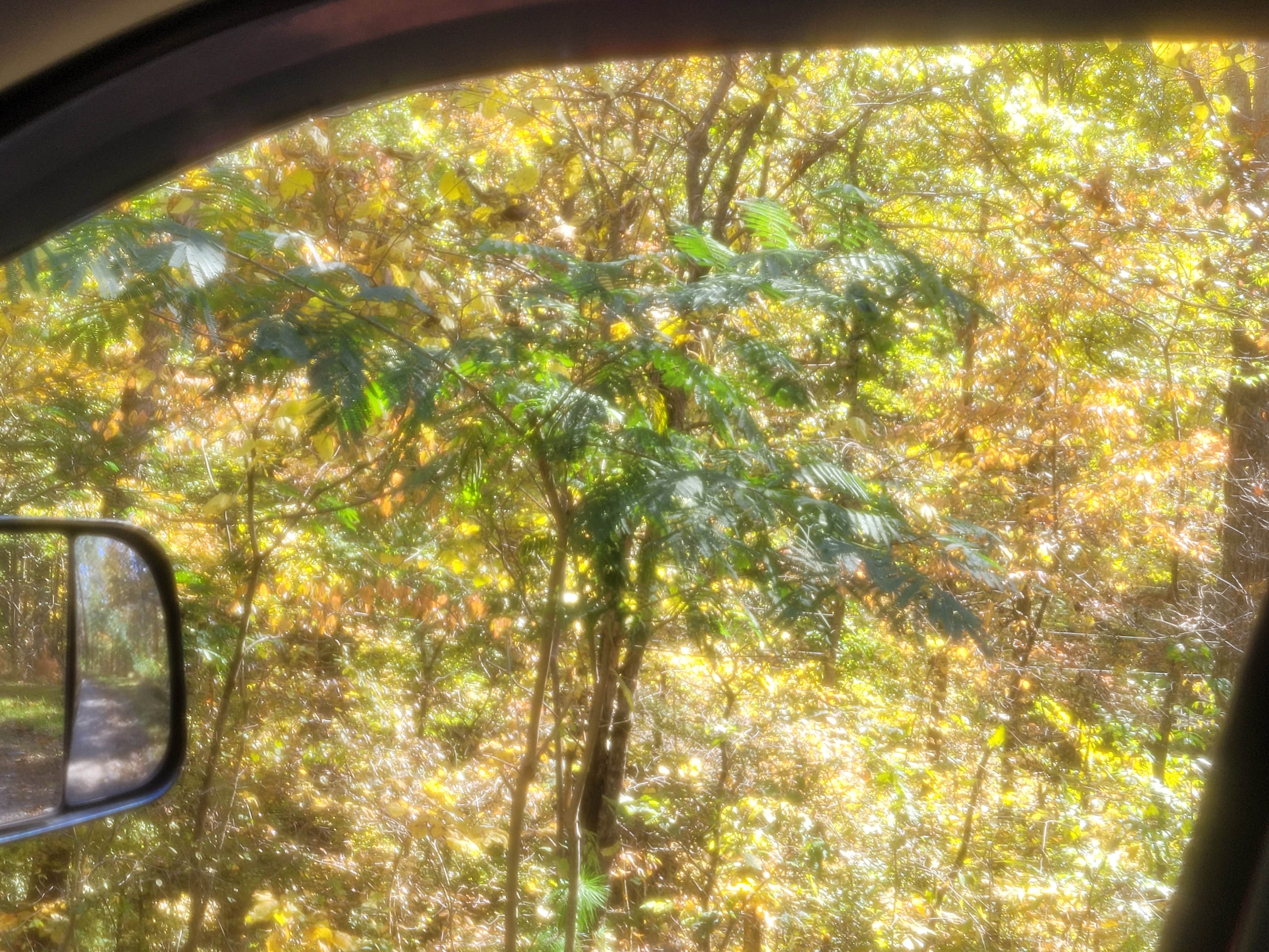 Camper-submitted photo at Serenity Ridge near Holly Springs, GA